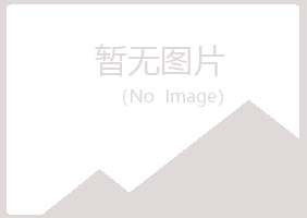 晋城城女孩会计有限公司